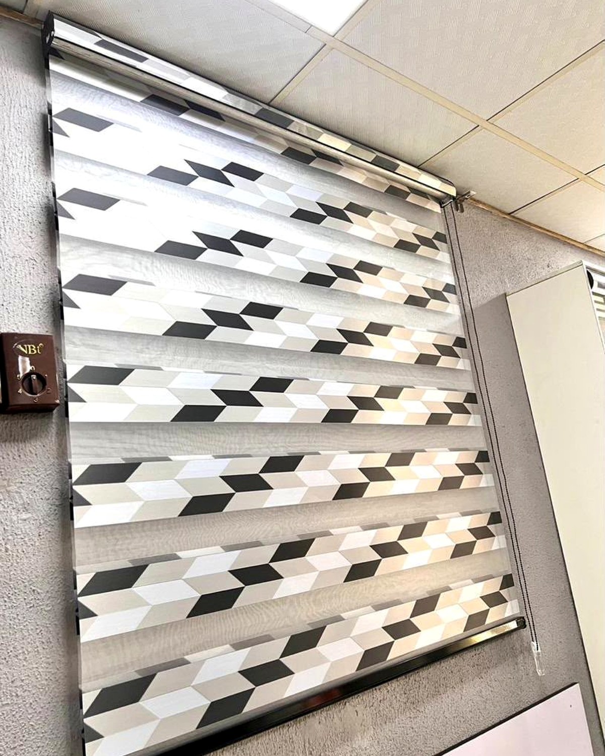 Chevron Geometric Zebra